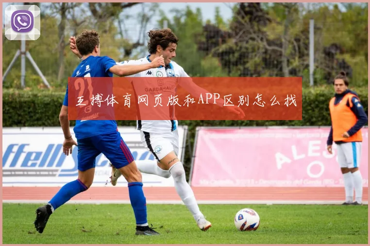 互搏体育网页版和APP区别怎么找