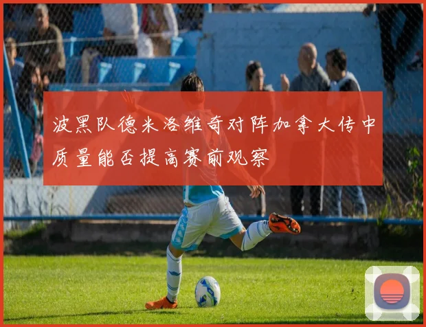 波黑队德米洛维奇对阵加拿大传中质量能否提高赛前观察