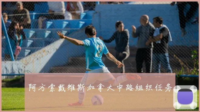 阿方索戴维斯加拿大中路组织任务