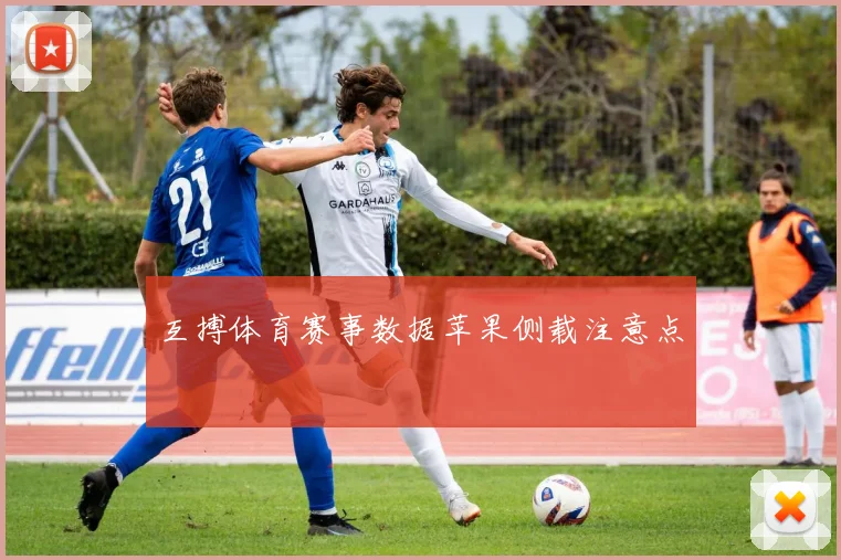 互搏体育赛事数据苹果侧载注意点